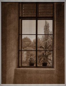 Finestra con vista su un parco da Caspar David Friedrich