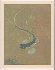 Pesce che nuota da Casper M.L. Kouw (signed by artist)