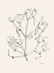 Disegni al tratto del vischio natalizio