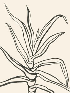 Schema minimalista delle piante