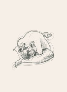 Figura rannicchiata e silenziosa da Catalina Somolinos