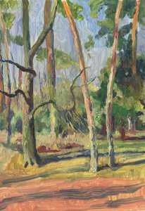 Sentiero nella foresta illuminato dal sole da Catalina Somolinos