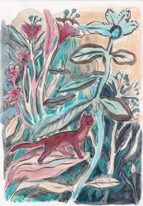 Gatto della giungla stravagante da Catalina Somolinos