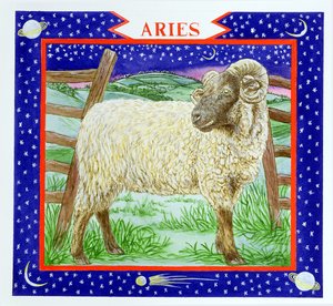 Ariete da Catherine Bradbury