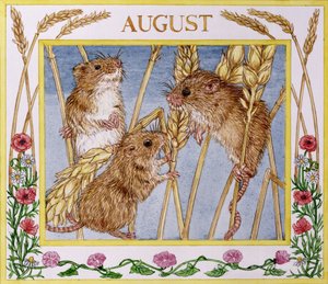 Agosto da Catherine Bradbury