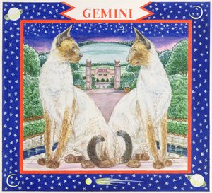 Gemelli da Catherine Bradbury