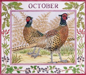 Ottobre da Catherine Bradbury
