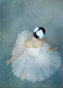 Elegante ballerina Swan da Catherine Wang