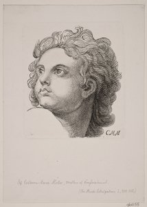 Testa di bambino