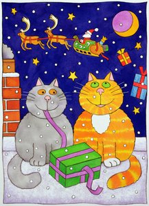Sorpresa di Natale