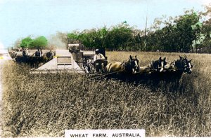 Fattoria di grano Grenfell, Australia da Cavenders Ltd