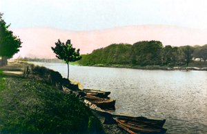 Il fiume Tyne a Hexham, Northumberland da Cavenders Ltd