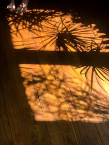 Composizione - Ombre, 2019 (foto)