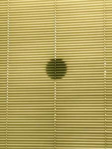 Composizione - Ombre, 2019 (foto) da Cécile Jamet
