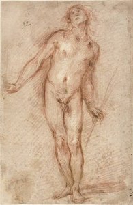 Nudo maschile in piedi