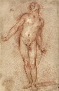 Nudo maschile in piedi