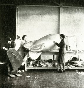 Riparazione dei palloni di sbarramento, c1943 da Cecil Beaton