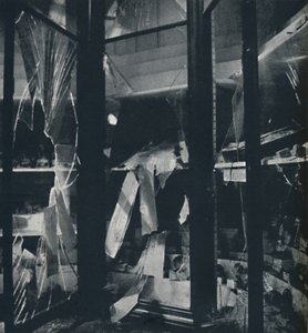 Vetrine nel Museo di Storia Naturale, 1941 da Cecil Beaton