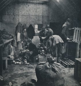 Verdure per il mercato, 1941 da Cecil Beaton