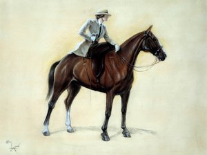 Un elegante cavaliere che sale su un