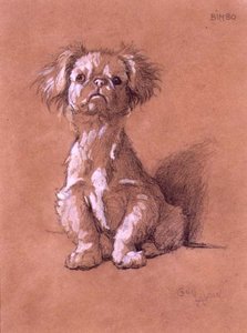 Bimbo da Cecil Charles Windsor Aldin