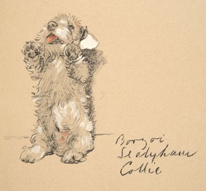 Sealyham, 1930, Illustrazioni dal suo Sketch Book usate per Just Among Friends, pubblicato successivamente da Eyre e Spottiswoode Limited, 1934 da Cecil Charles Windsor Aldin