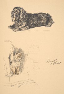 Spaniel e Chow, 1930, Illustrazioni dal suo Sketch Book usato per Just Among Friends, Aldin, Cecil Charles Windsor (1870-1935), successivamente pubblicato da Eyre and Spottiswoode Limited, 1934 da Cecil Charles Windsor Aldin