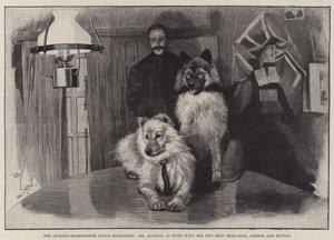 La spedizione polare Jackson-Harmsworth, il signor Jackson a casa con i suoi due migliori cani da orso, Nimrod e Raving