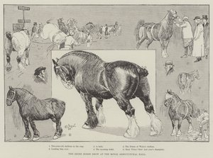 La Mostra del Cavallo Shire alla Royal Agricultural Hall da Cecil Charles Windsor Aldin