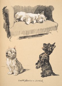 West Highlanders e Scotch, 1930, Illustrazioni dal suo Sketch Book usate per Just Among Friends, pubblicato successivamente da Eyre e Spottiswoode Limited, 1934