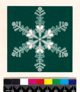 Cristalli di neve