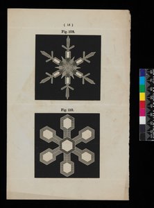 Cristalli di neve da Cecilia Glaisher
