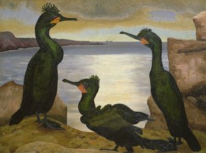 Cormorani da Cedric Morris