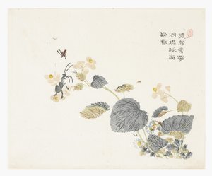 Giardino del seme di senape da Chao Mon Yu