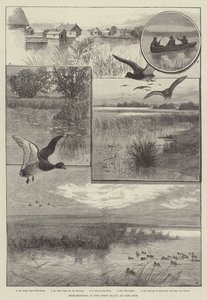 Caccia alle anatre a Long Point Island, sul Lago Erie (incisione) da Charles (after) Whymper