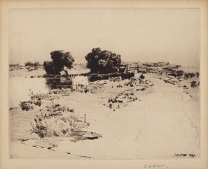 Salici di Cape Ann da Charles A. Platt