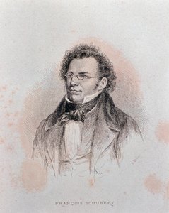 Ritratto di Franz Schubert (incisione)