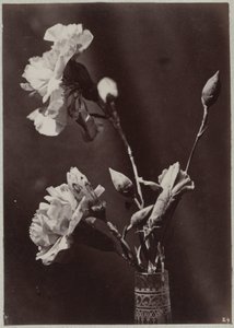 Studio di fiori con vaso di vetro