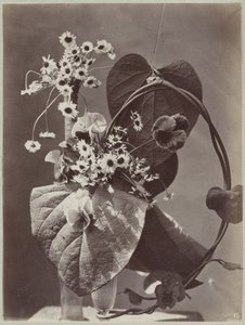 Studio di fiori con vasi di vetro