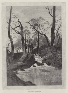 La Cascata nel Parco di Hawarden da Charles Auguste Loye
