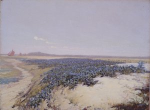 Dune coperte di fiori (olio su tela) da Charles Augustus Lasar