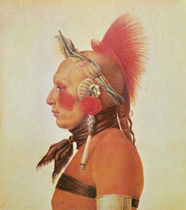 Un guerriero Osage, c.1804 da Charles Balthazar Julien Févret de Saint Mémin