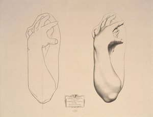 Braccio piegato di una donna, tavola 22 da Cours de Dessin Volume I, Modelli dal rilievo, c.1868 da Charles Bargue