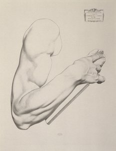 Impressione su carta grigia, 1868 da Charles Bargue