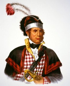 Capo McIntosh, illustrazione da 