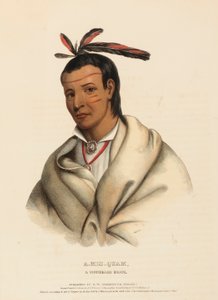 A-MIS-QUAM, UN BRAVO WINNEBAGO, da Storia delle Tribù Indiane del Nord America da Charles Bird King