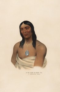  da Charles Bird King