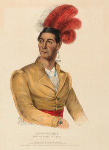 AHYOUWAIGHS. CAPO DELLE SEI NAZIONI, da Storia delle tribù indiane del Nord America.