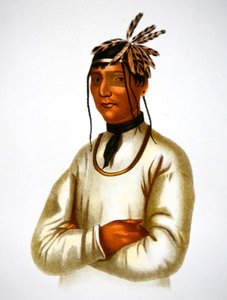 Caatousee della tribù Chippewa (litografia a colori) da Charles Bird King