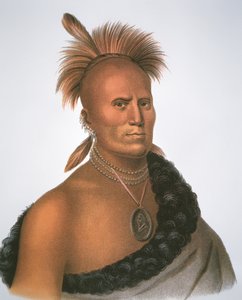 Capo Sharitarish da Charles Bird King